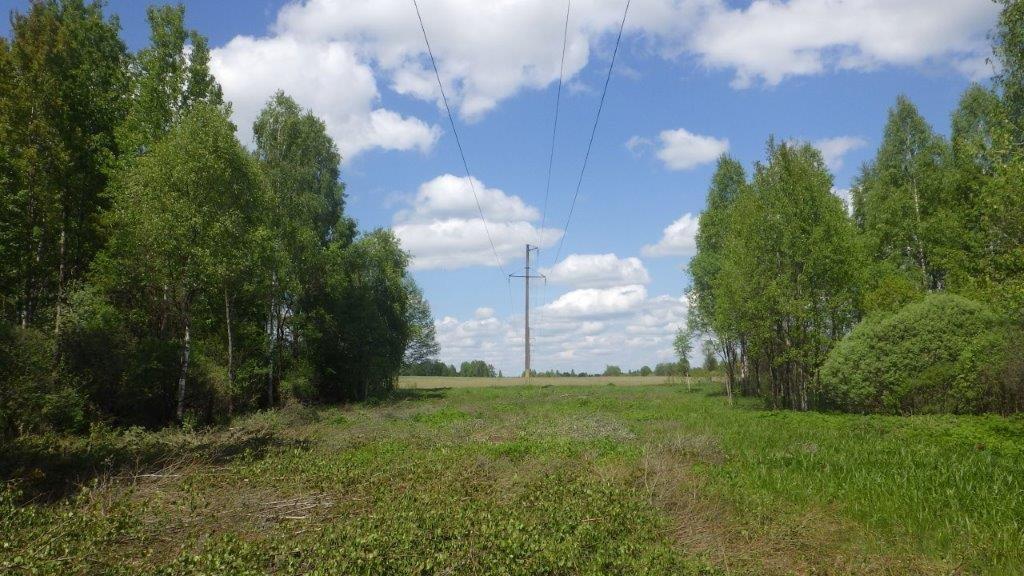 Около 4 тысяч гектаров расчистят «Россети Центр» в Смоленской области в 2025 году 