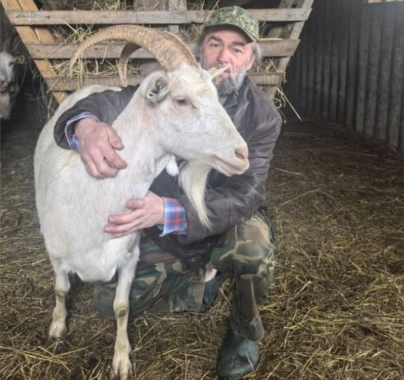Социальный контракт помог Алексею Рожкову в разведении коз