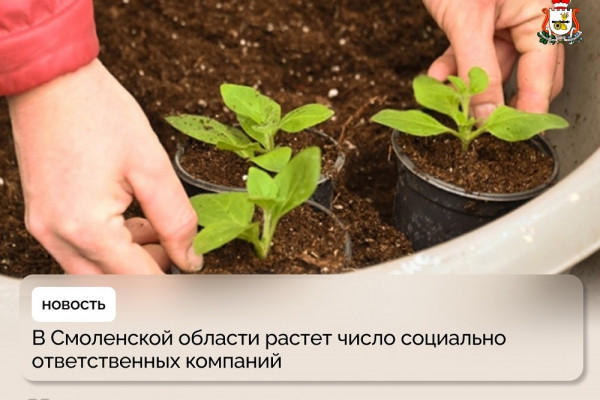 Смолянам рассказали, как определить ЭКГ-рейтинг предприятия