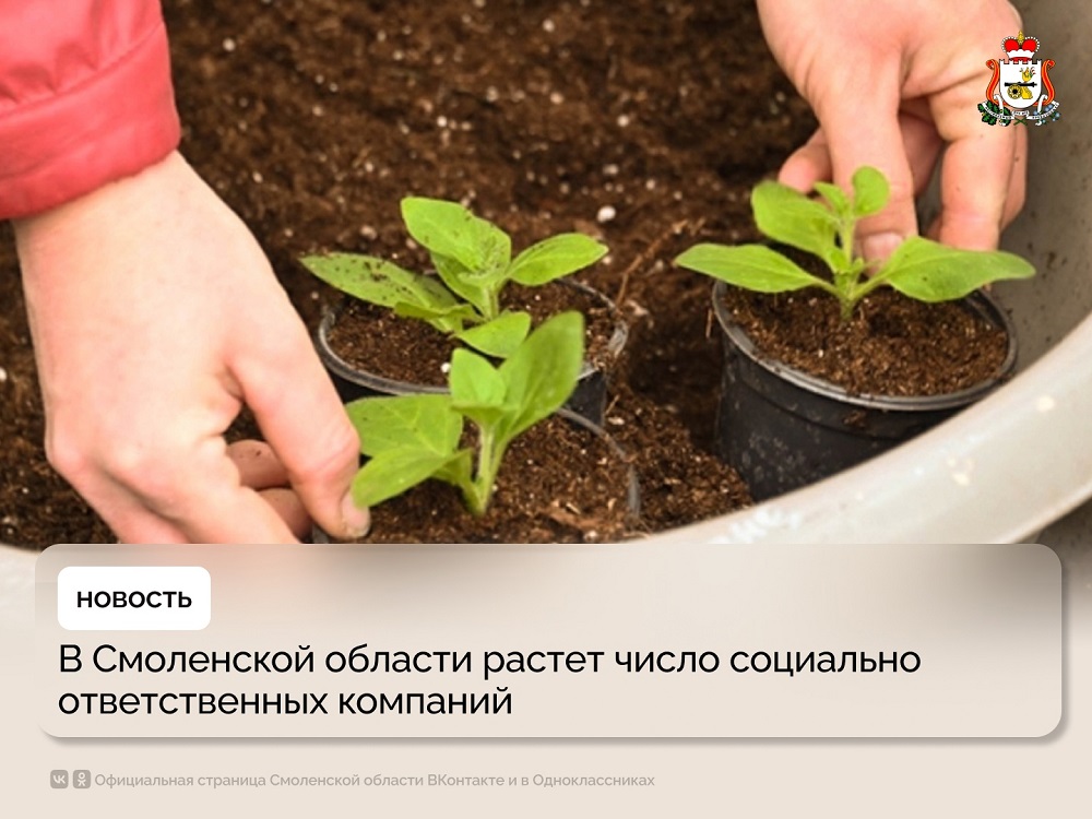Смолянам рассказали, как определить ЭКГ-рейтинг предприятия