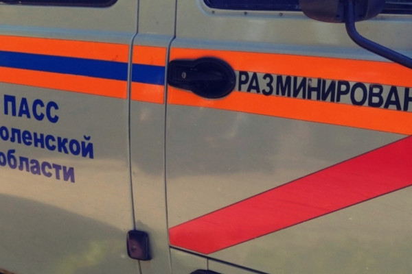 В Смоленской области обезвредили 100 боеприпасов времён войны