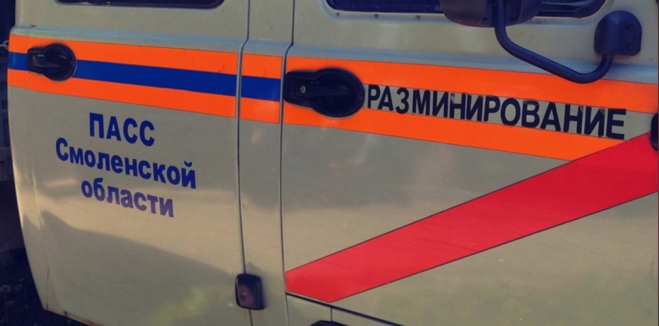 В Смоленской области обезвредили 100 боеприпасов времён войны