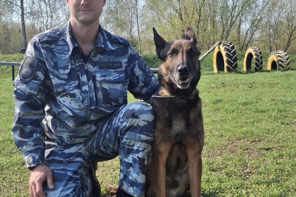 В Смоленске Шериф помог раскрыть квартирную кражу
