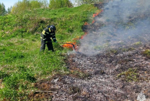 За сутки в Смоленской области произошло 11 палов сухой травы