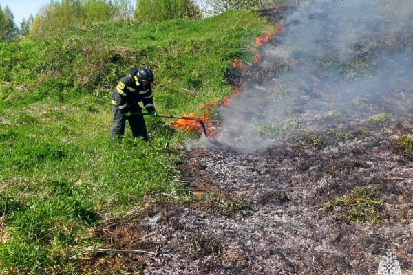 За сутки в Смоленской области произошло 11 палов сухой травы