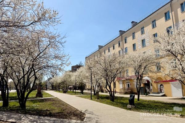 Смолянам рассказали о погоде 25 апреля