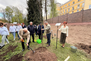 Аллею Памяти городов-героев высадили в центре Смоленска