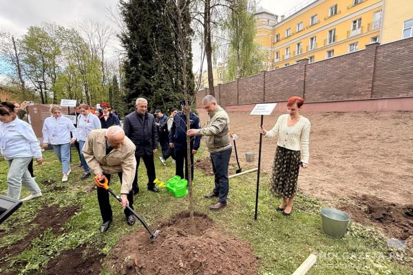 Аллею Памяти городов-героев высадили в центре Смоленска