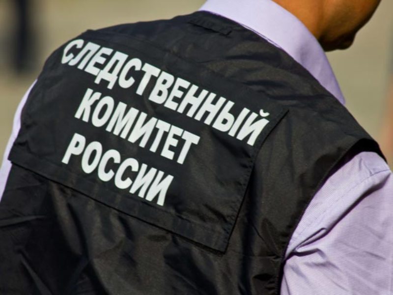 В Смоленске из-за исчезновения ребёнка завели дело об убийстве