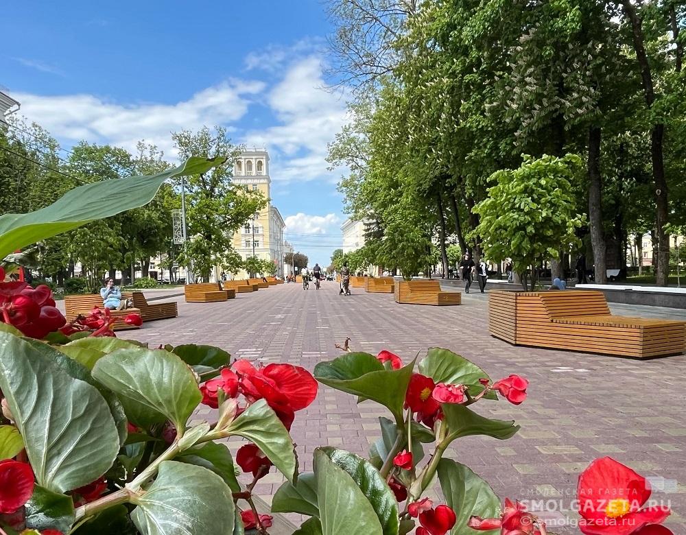 Местами дождь, туман и до +21°С обещают на Смоленщине 23 августа