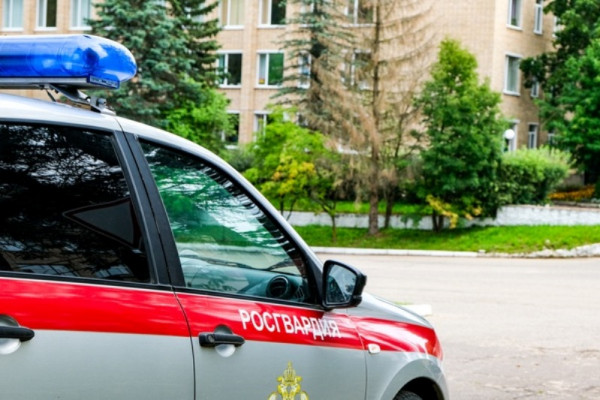 В Смоленске сотрудники Росгвардии пресекли кражу с охраняемого объекта