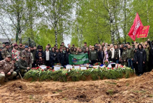 В поисковые отряды Смоленской области входят порядка двух тысяч человек 