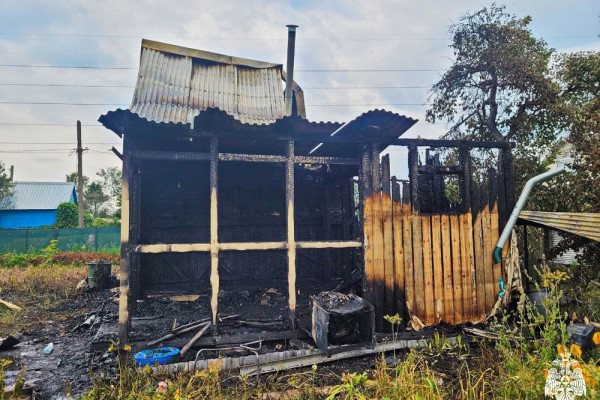 В Вязьме в СНТ «Берёзка» произошёл пожар