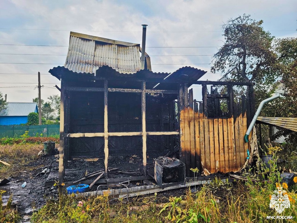 В Вязьме в СНТ «Берёзка» произошёл пожар