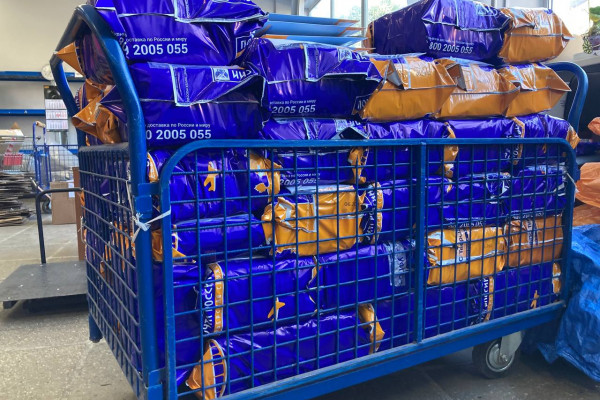 Почта России доставит технические средства реабилитации почти пятистам смолянам