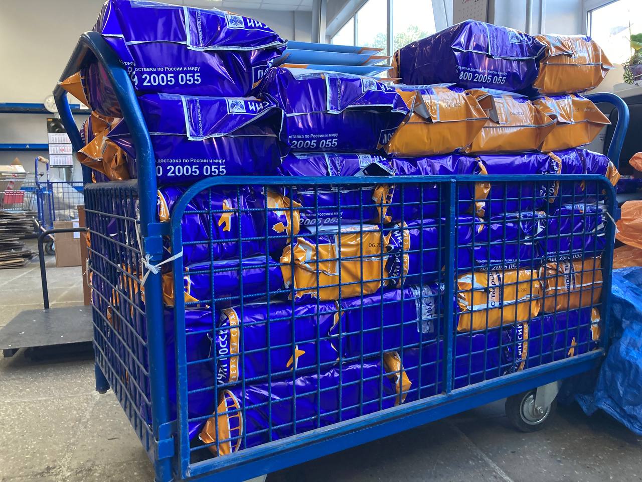 Почта России доставит технические средства реабилитации почти пятистам смолянам