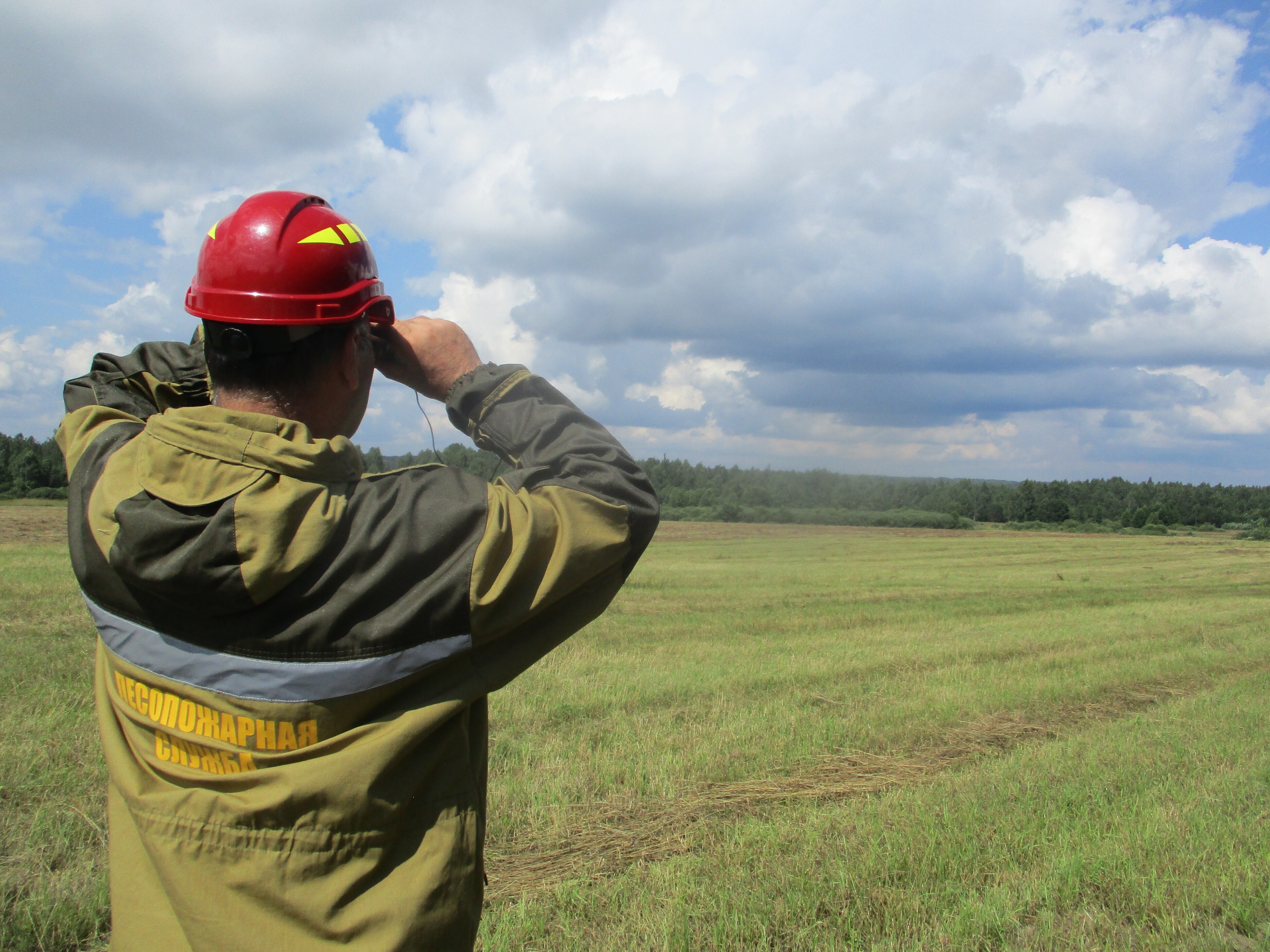 В Смоленской области за текущий сезон ликвидировали восемь возгораний, угрожающих лесному фонду