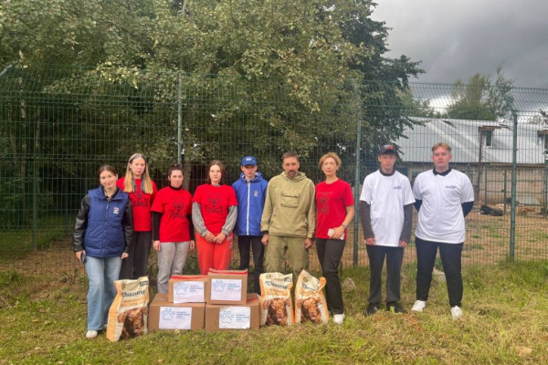 Смоленские единороссы помогли приютам для бездомных животных