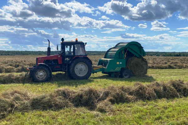 В Смоленской области в колонии-поселении № 7 завершили заготовку кормов