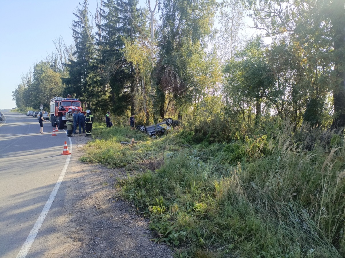 В Руднянском округе иномарка съехала в кювет и опрокинулась
