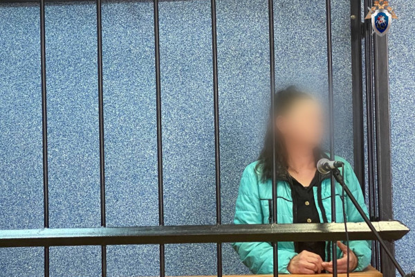 Смолянку приговорили к семи годам лишения свободы за убийство