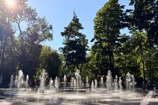 Смоленщину ждёт солнечная пятница