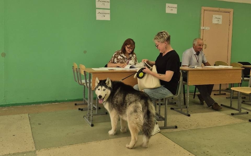 В Смоленске ведёт свою работу региональный штаб общественного наблюдения за выборами в горсовет
