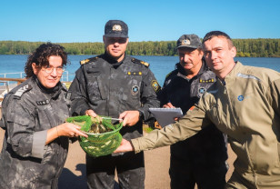 Смоленские атомщики выпустили в Десногорское водохранилище 40 тысяч мальков чёрного амура