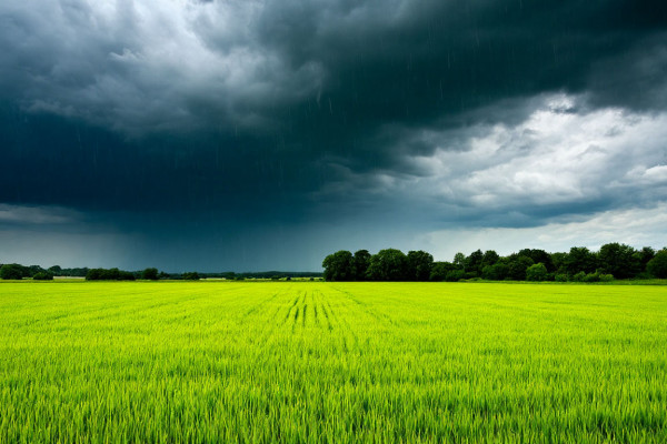 18 октября в Смоленской области погода существенно не изменится