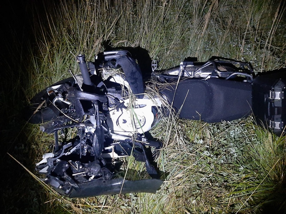 В Сычёвском округе мотоцикл BMW наехал на лося