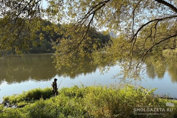 19 сентября на Смоленщине пройдут кратковременные дожди