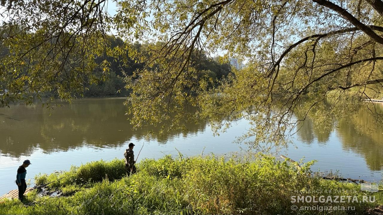 19 сентября на Смоленщине пройдут кратковременные дожди