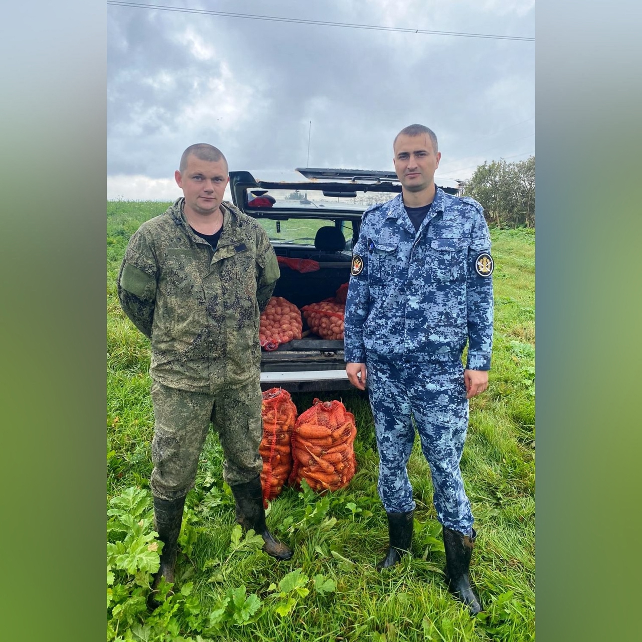 Смоленская колония-поселение №7 отправила урожай для бойцов СВО