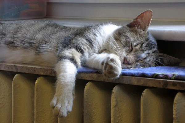 Когда начнётся отопительный сезон в Смоленске