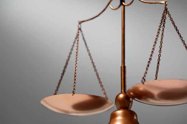 В Смоленской области Управление Россельхознадзора через суд добилось ликвидации несанкционированной свалки