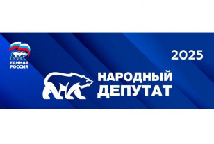 Стартовало голосование за лучшие практики работы с избирателями в рамках конкурса «Единой России» «Народный депутат»