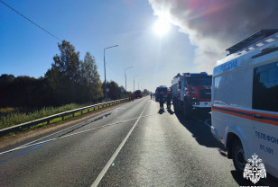 Компенсационные автобусы на участке Смоленск — Заольша
