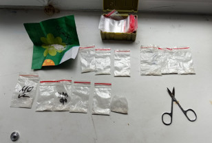 Смолянину грозит до 15 лет тюрьмы за незаконный оборот наркотиков