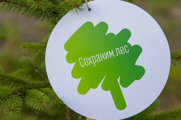 Смоленщина участвует в акции «Сохраним лес»