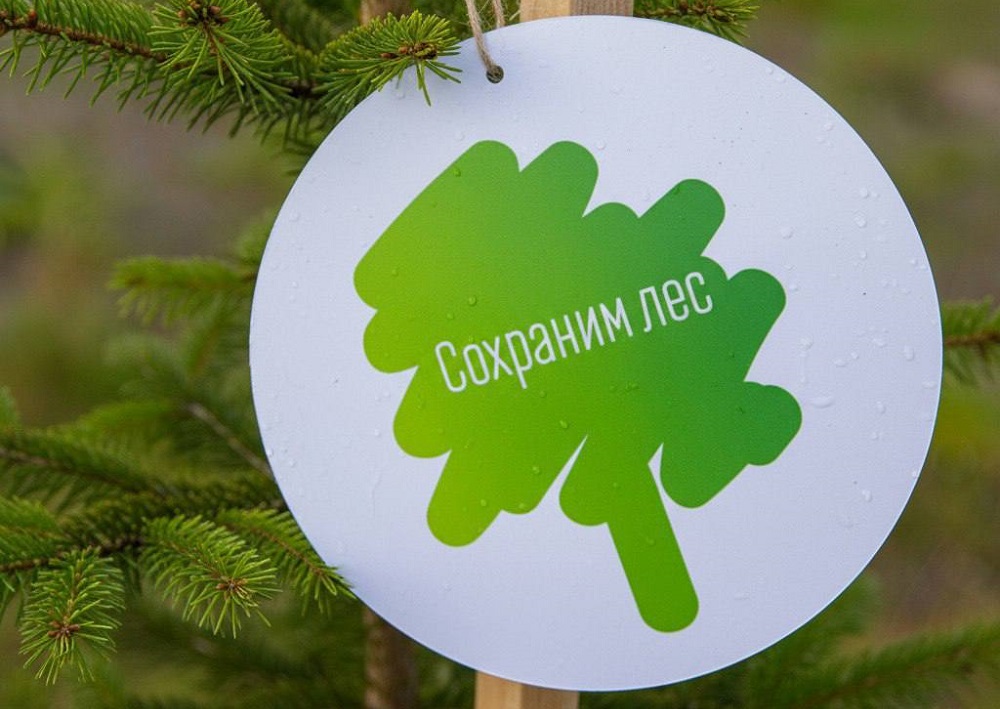 Смоленщина участвует в акции «Сохраним лес»