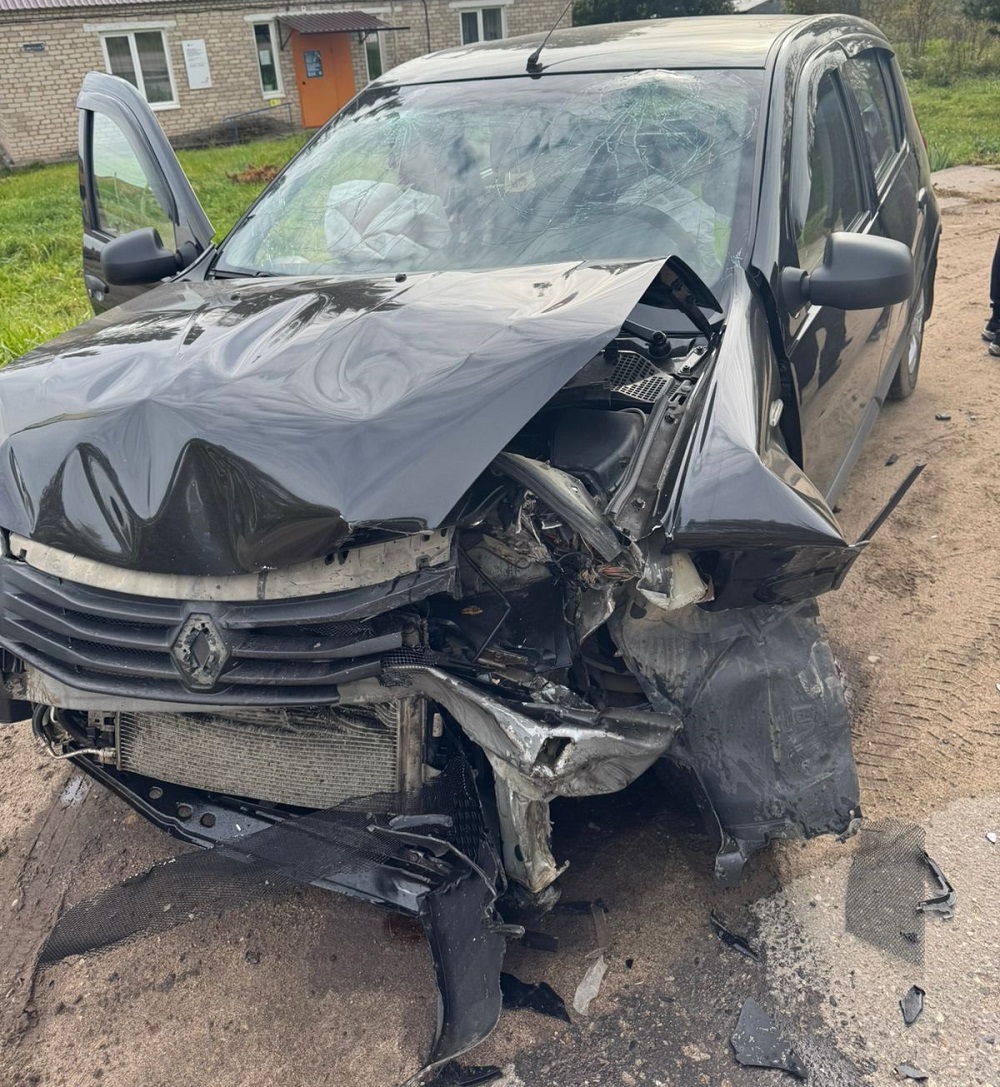 В Ярцевском округе в деревне Михейково столкнулись Renault и Audi