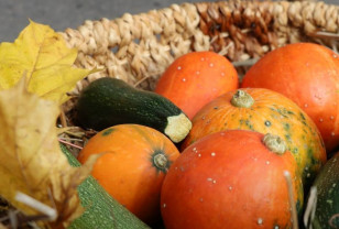 В Смоленске прошли традиционные сельскохозяйственные ярмарки