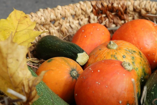 В Смоленске прошли традиционные сельскохозяйственные ярмарки