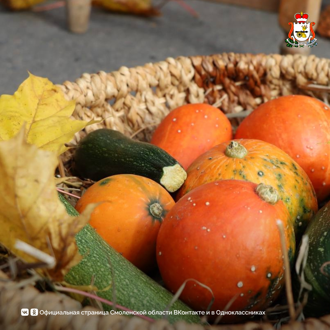 В Смоленске прошли традиционные сельскохозяйственные ярмарки