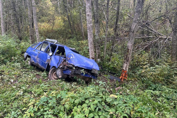 В Угранском округе ИЖ-2126 врезался в дерево