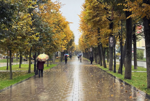 Какая погода ждёт смолян в субботу