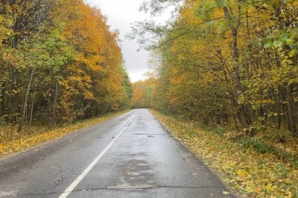 «Городская управляющая компания» проводит масштабную осеннюю уборку Смоленска