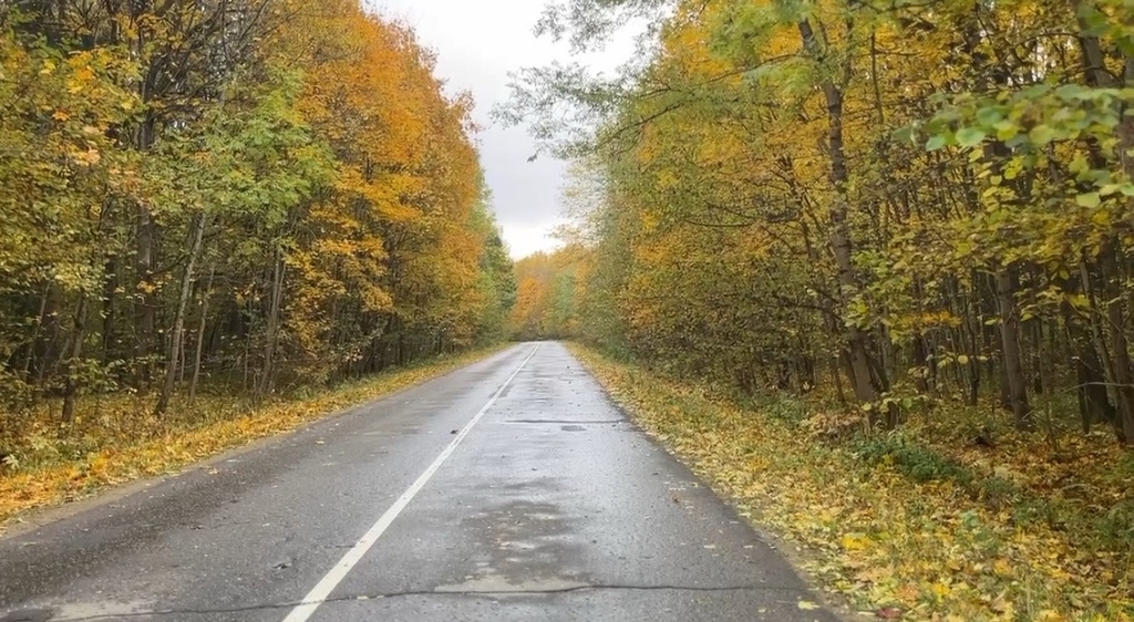 «Городская управляющая компания» проводит масштабную осеннюю уборку Смоленска