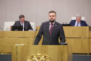 Оформление гражданства для новорождённых через «Госуслуги» одобрено Госдумой