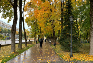 28 октября в Смоленской области сохранится дождливая погода